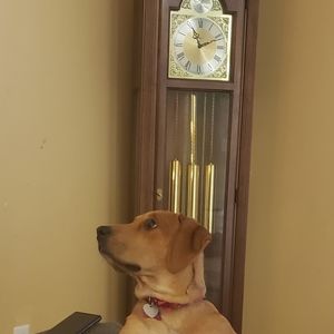 Meet your Posher, Michael